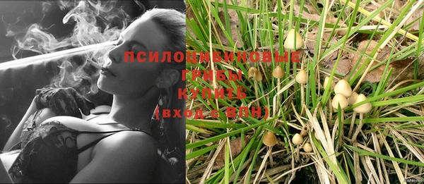 бошки Лабытнанги