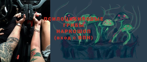 бошки Лабытнанги