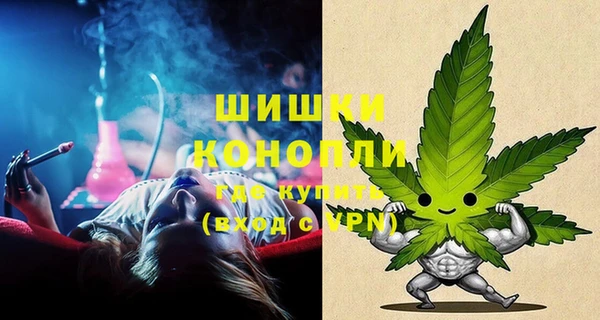 эйфоретик Ладушкин