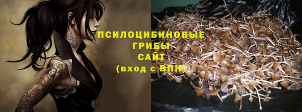 эйфоретик Ладушкин