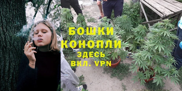 бошки Лабытнанги